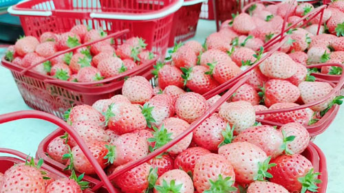 1626765434198602.jpg 11.jpg