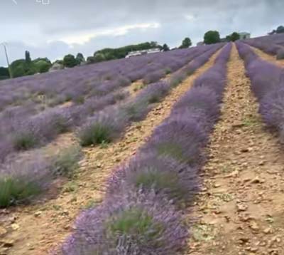 1757924932741464.jpg 5.jpg